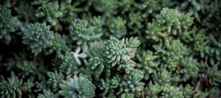 网络战准备状态分析：网络犯罪辛迪加网络作战能力评估