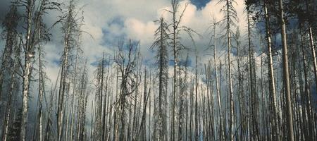 【天地一体·机密信息中心】全球情报每日总览 · 2026-09-20