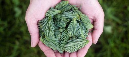 长八甲火箭成功发射卫星互联网低轨26组卫星
