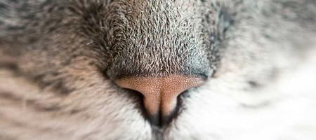 【秘密】海上航行自由情报综合分析报告